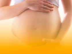 2048 1536login 250x188